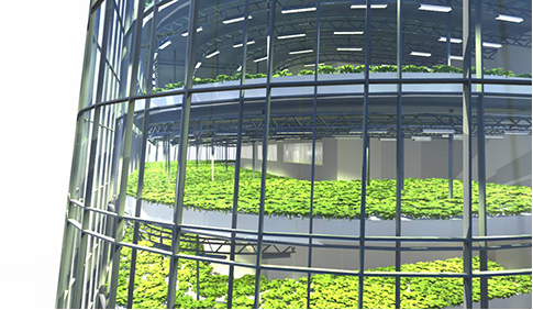 百度截圖20180118111900